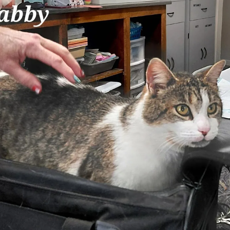 Francois thumbnail 4