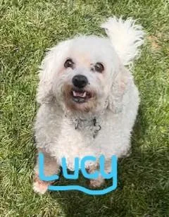 Lucy