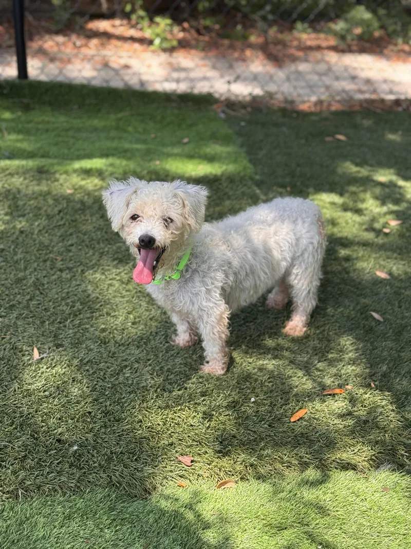 Ethel