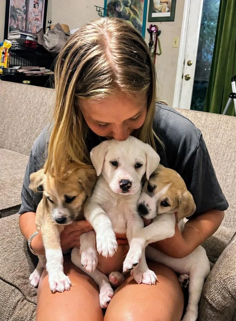 Maybelline thumbnail 2