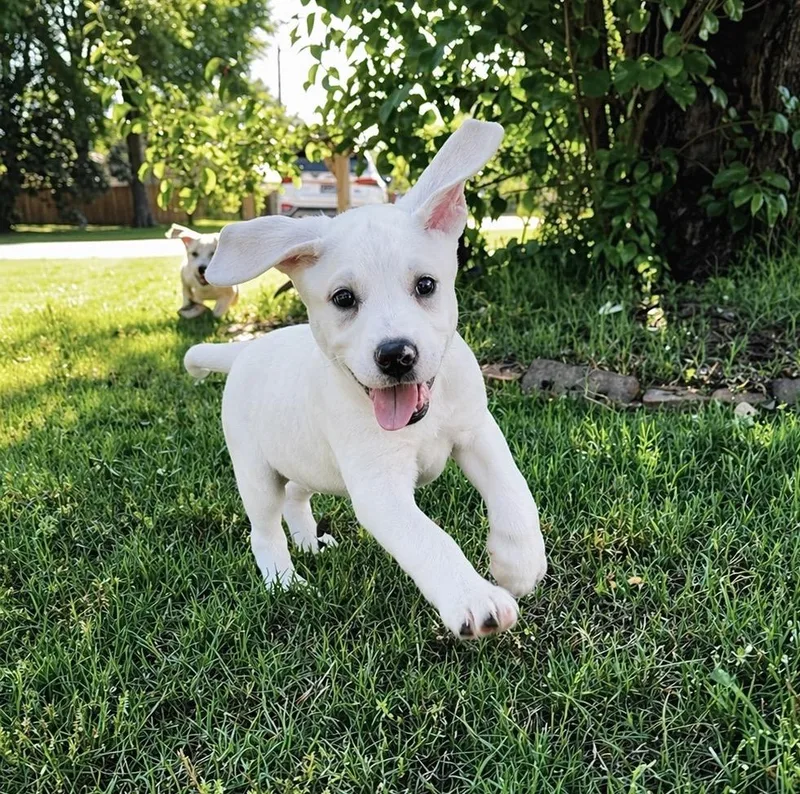 Maybelline thumbnail 3