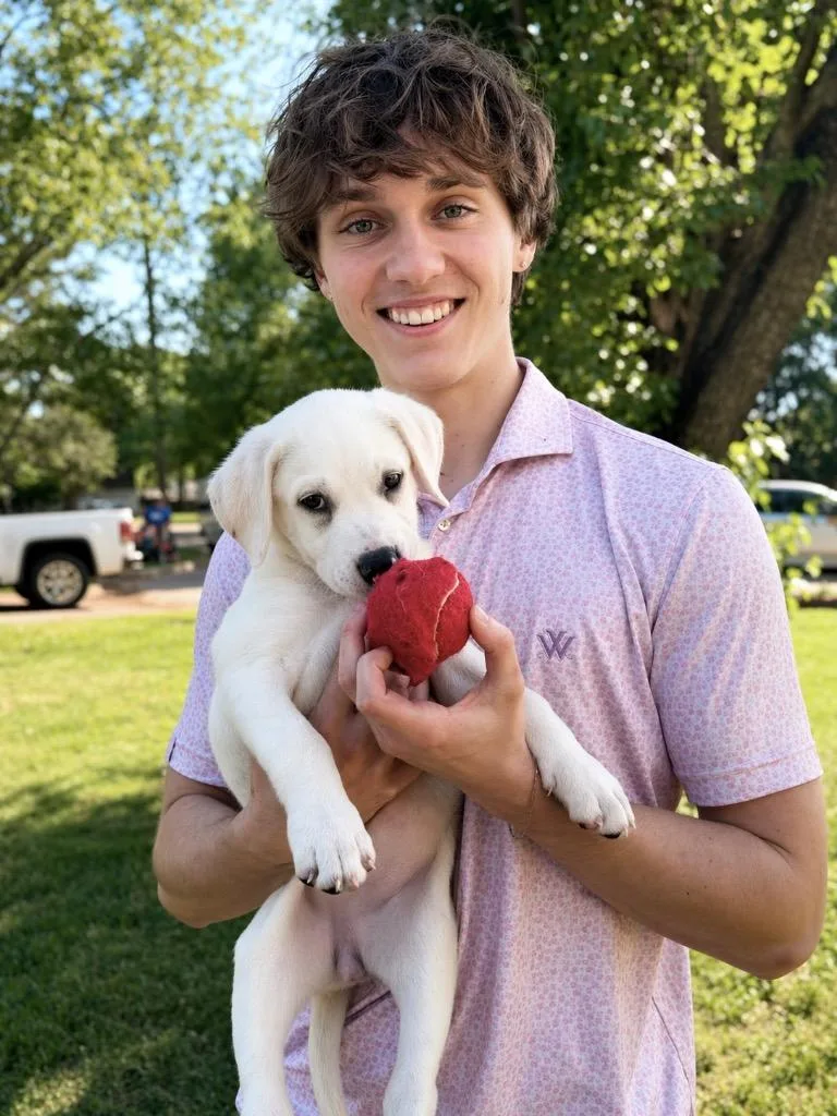 Maybelline thumbnail 4