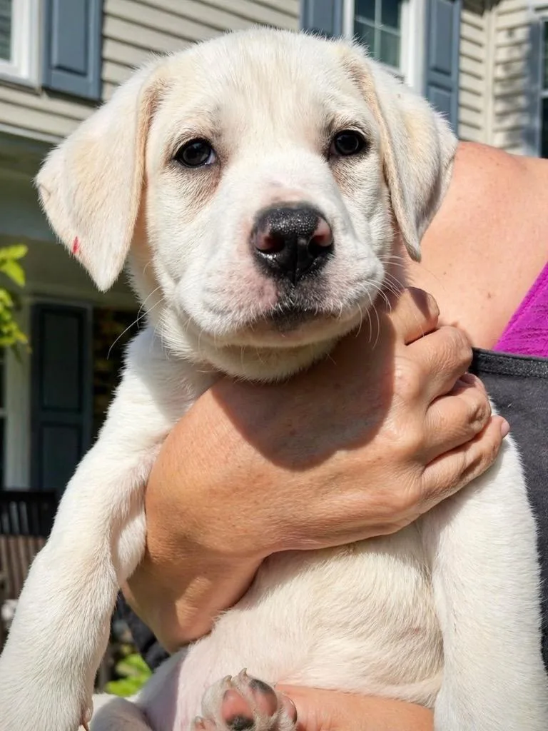 Maybelline thumbnail 5