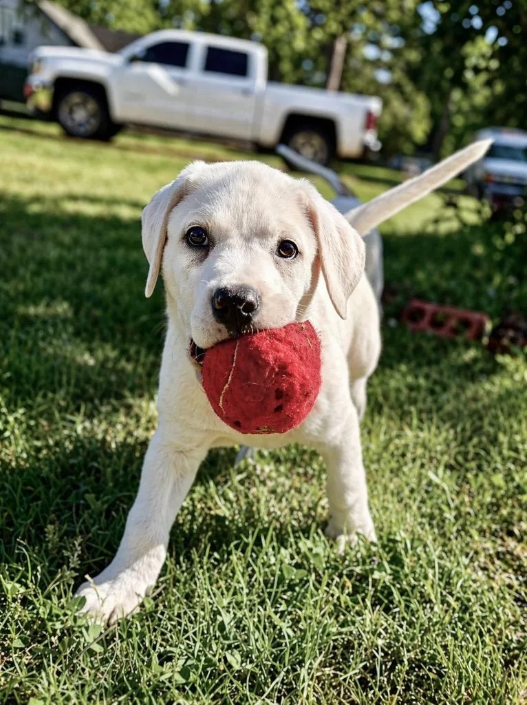 Maybelline thumbnail 6