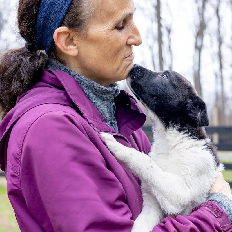 Oreganoavail thumbnail 2