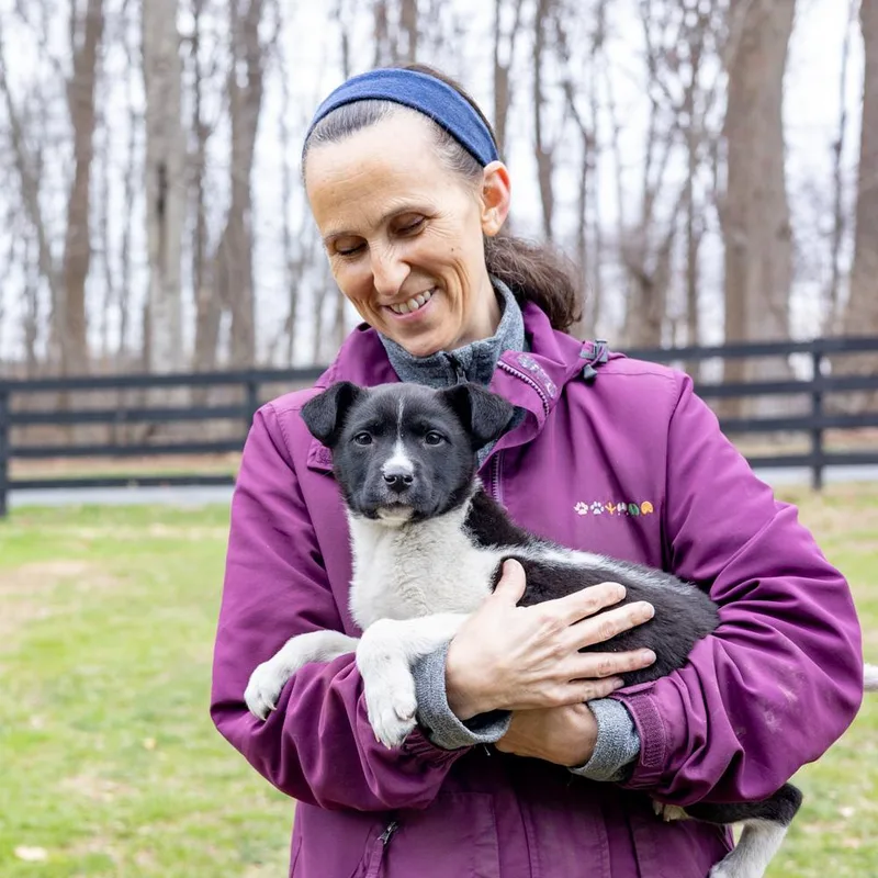 Oreganoavail thumbnail 3