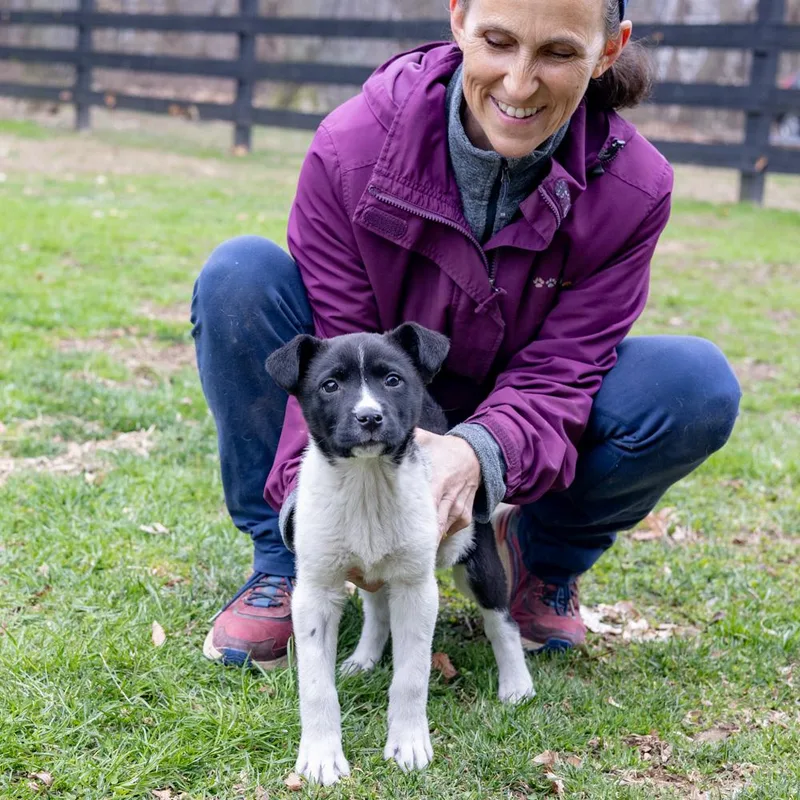 Oreganoavail thumbnail 4