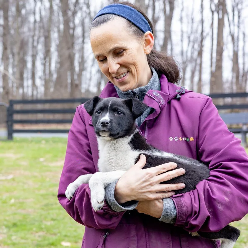 Oreganoavail thumbnail 5