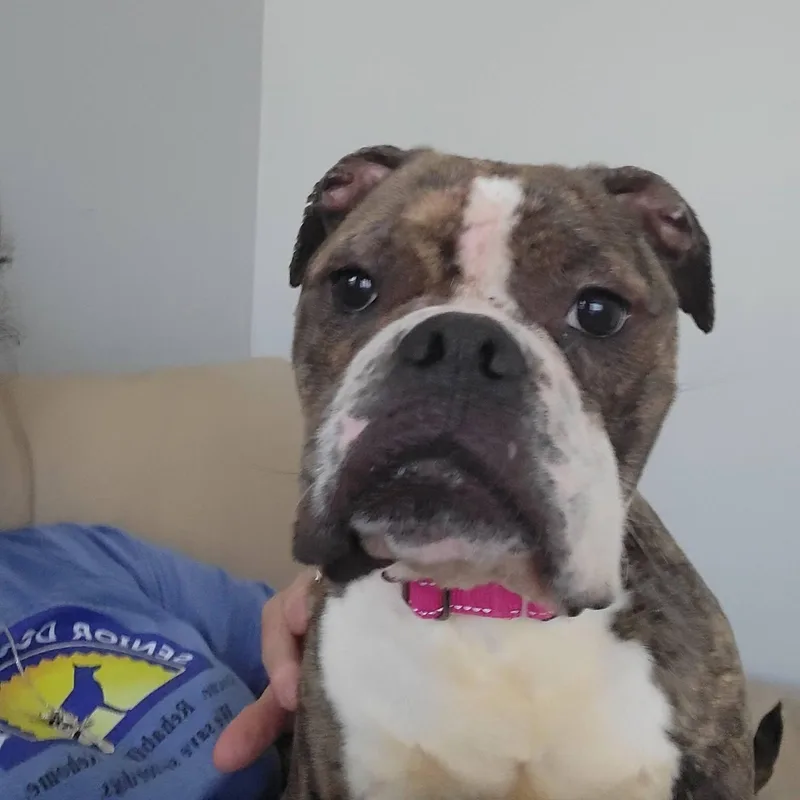 Endora thumbnail 2