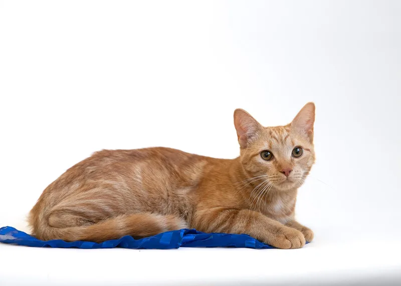 Harry Scary & Maya thumbnail 2