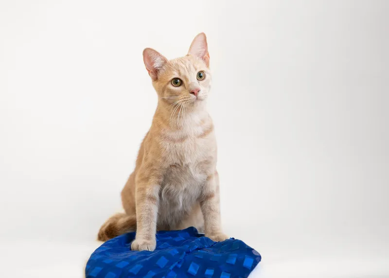 Harry Scary & Maya thumbnail 3