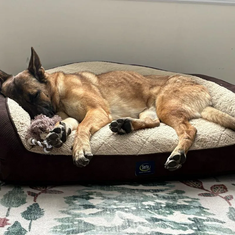 Raspberry thumbnail 3