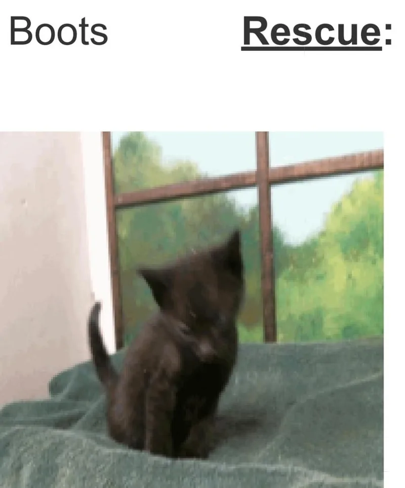 Boots thumbnail 3