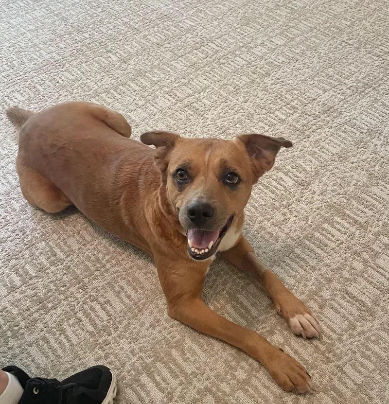 Gracie: One Word:sweet thumbnail 2