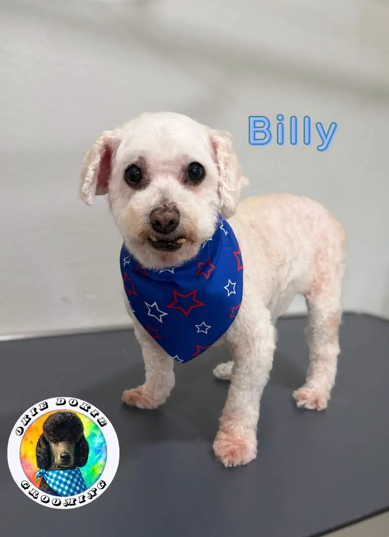 Billy thumbnail 4
