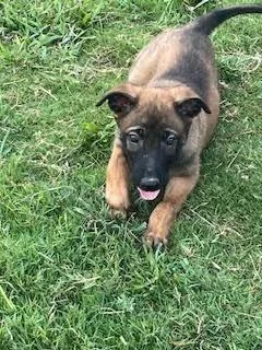 Lara Croft thumbnail 3
