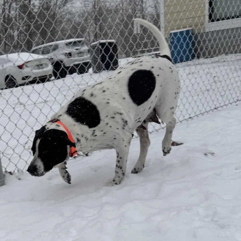 Stuffing thumbnail 5