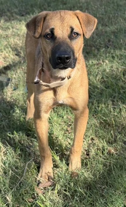 Marvin The Martian thumbnail 2