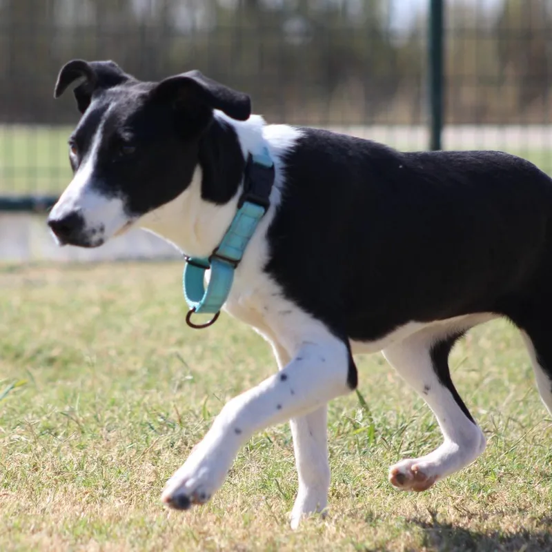 Tennille thumbnail 2