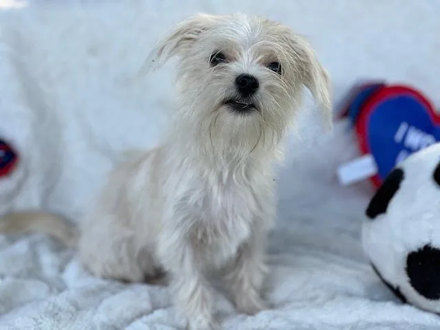Ally thumbnail 3