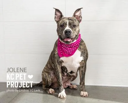 Jolene thumbnail 3