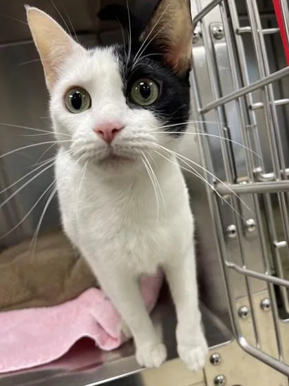 Natalie Nunn thumbnail 2