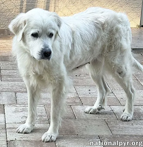 Heidi In Fl  thumbnail 2