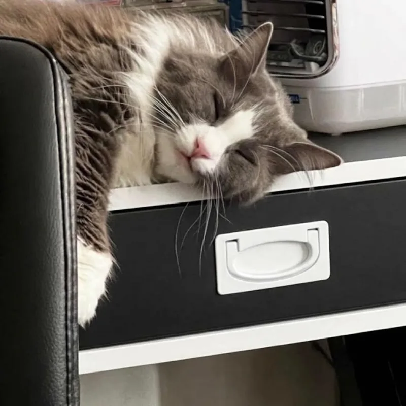 Smokey thumbnail 2