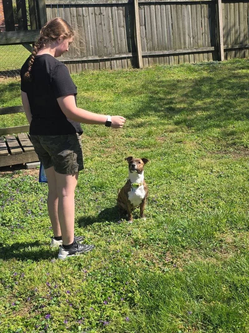 Meet Nicky — Your thumbnail 2