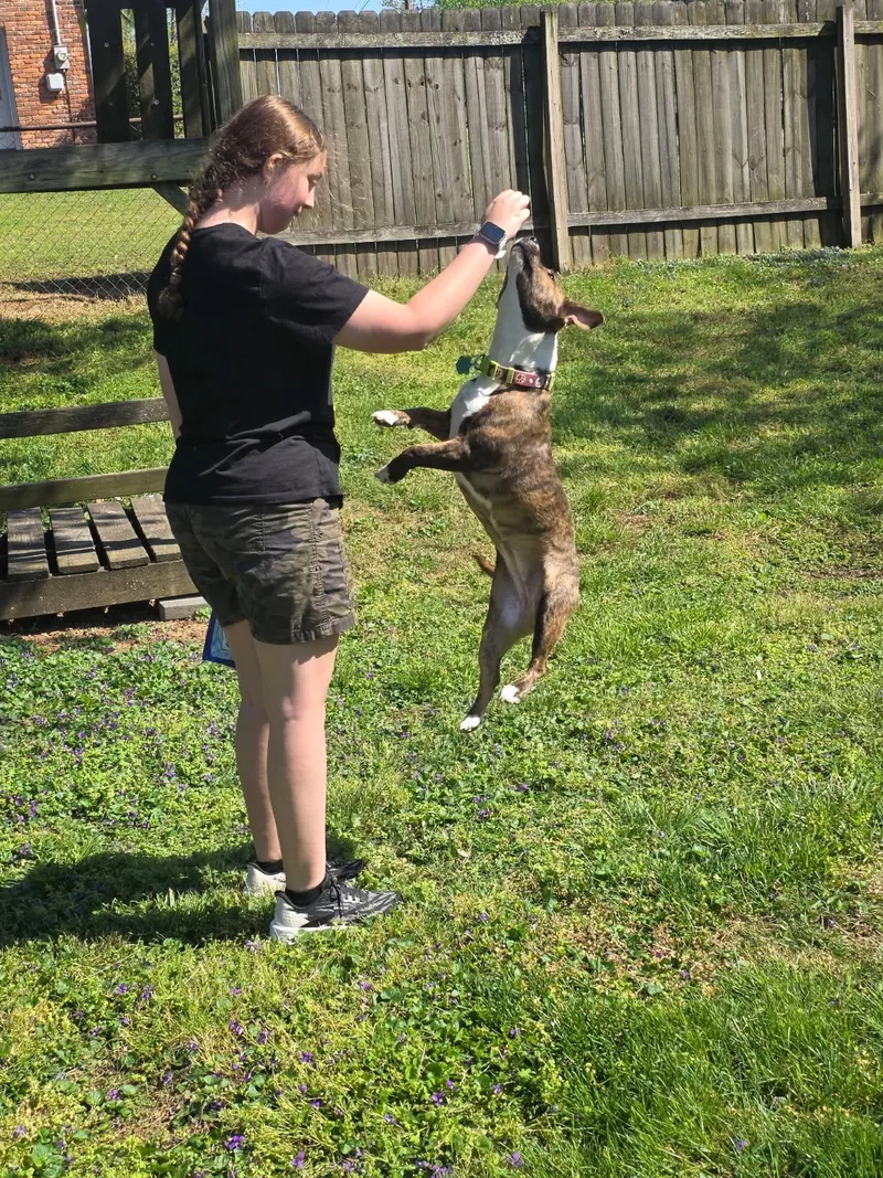 Meet Nicky — Your thumbnail 3