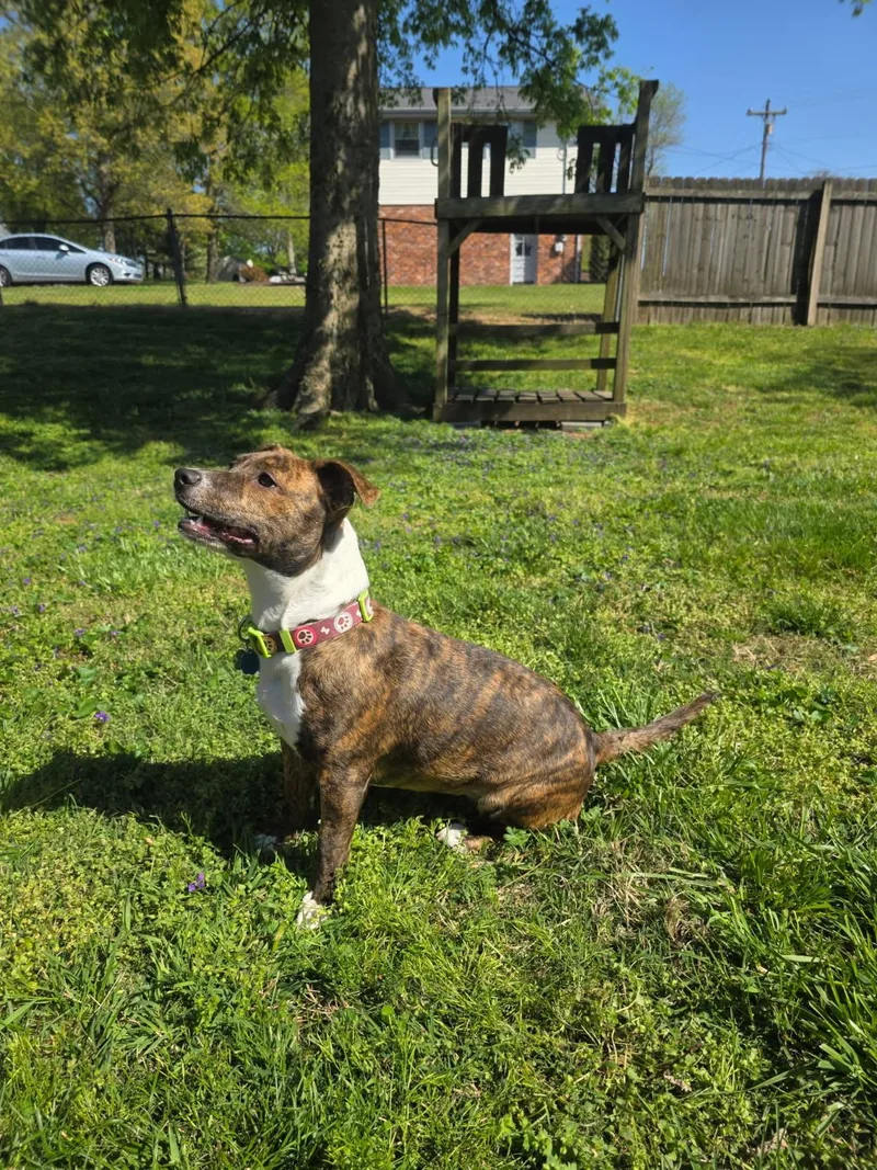 Meet Nicky — Your thumbnail 4