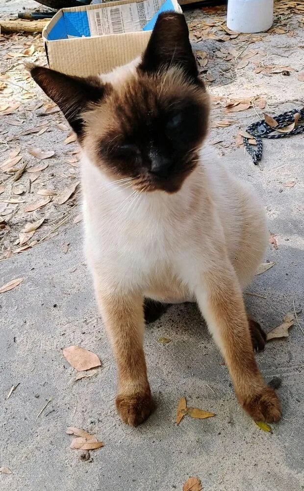 Sam I Am thumbnail 2