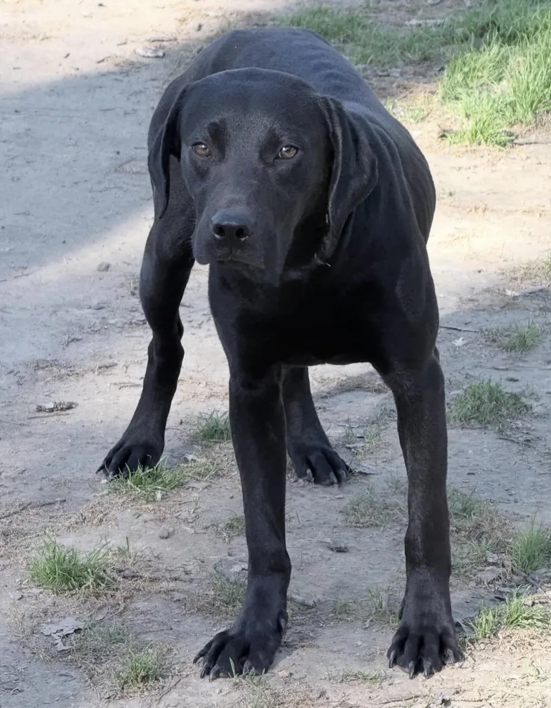 Julie