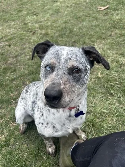 Hukarere thumbnail 2