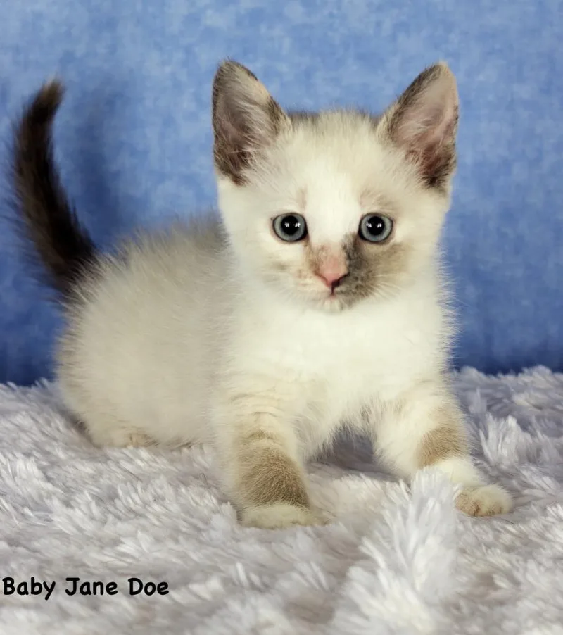 Baby Jane Doe