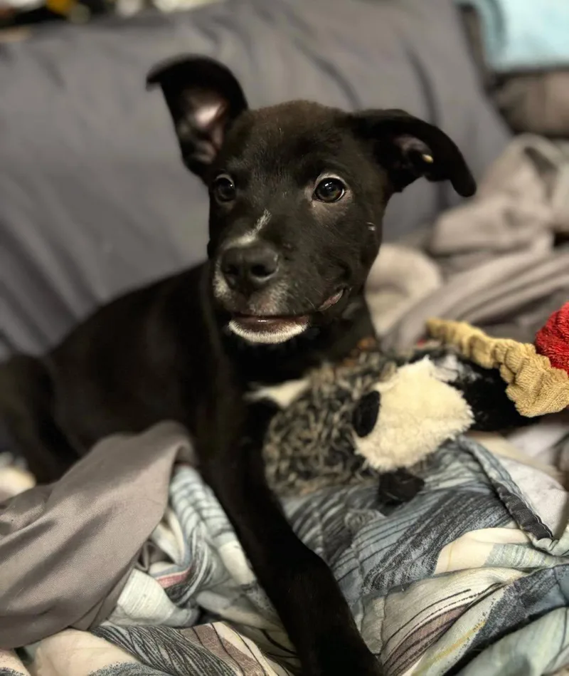Tucker thumbnail 2