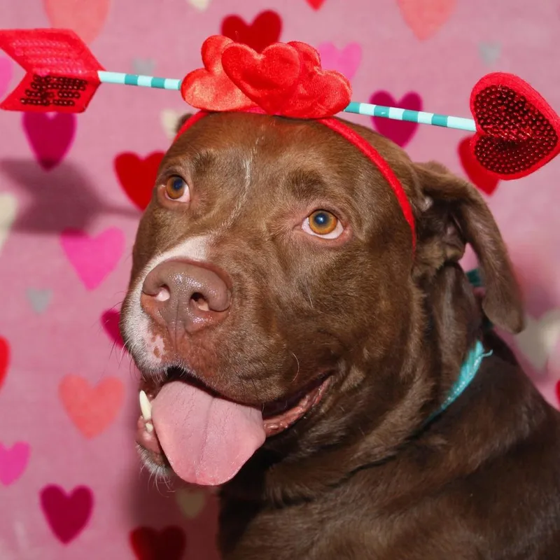 Hennessy thumbnail 2