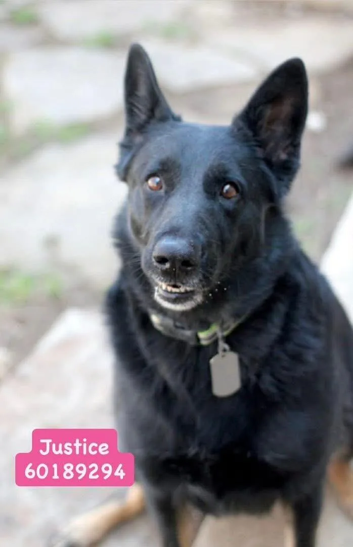 Justice thumbnail 4