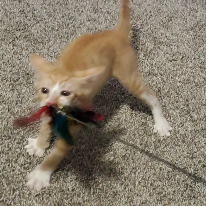 Nick thumbnail 6