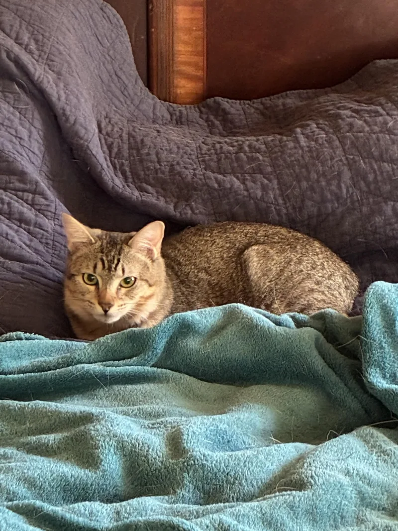 Coach & Mckenna thumbnail 3