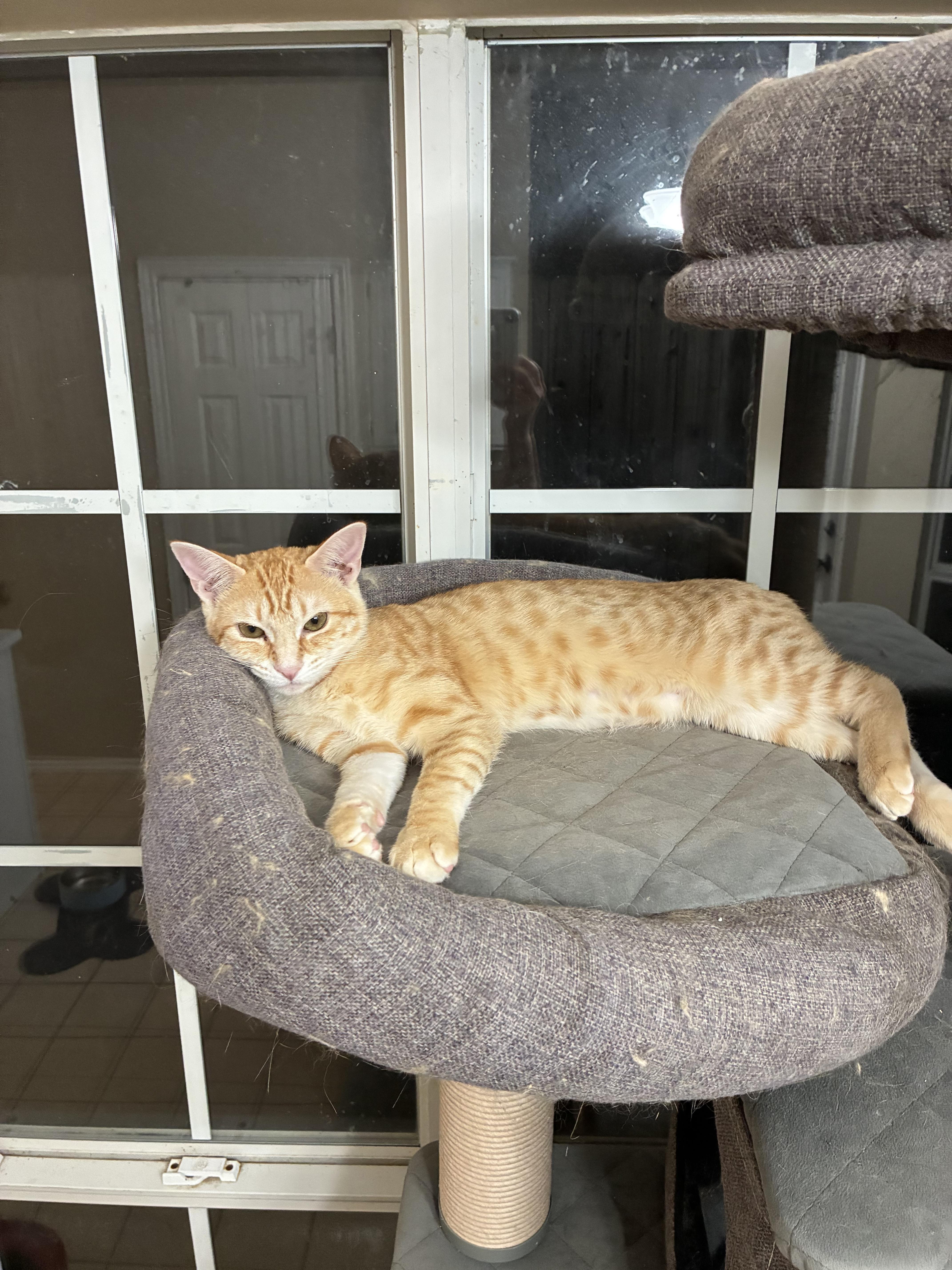 Coach & Mckenna thumbnail 4