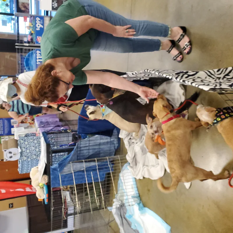 Nuts Over Peanut thumbnail 3