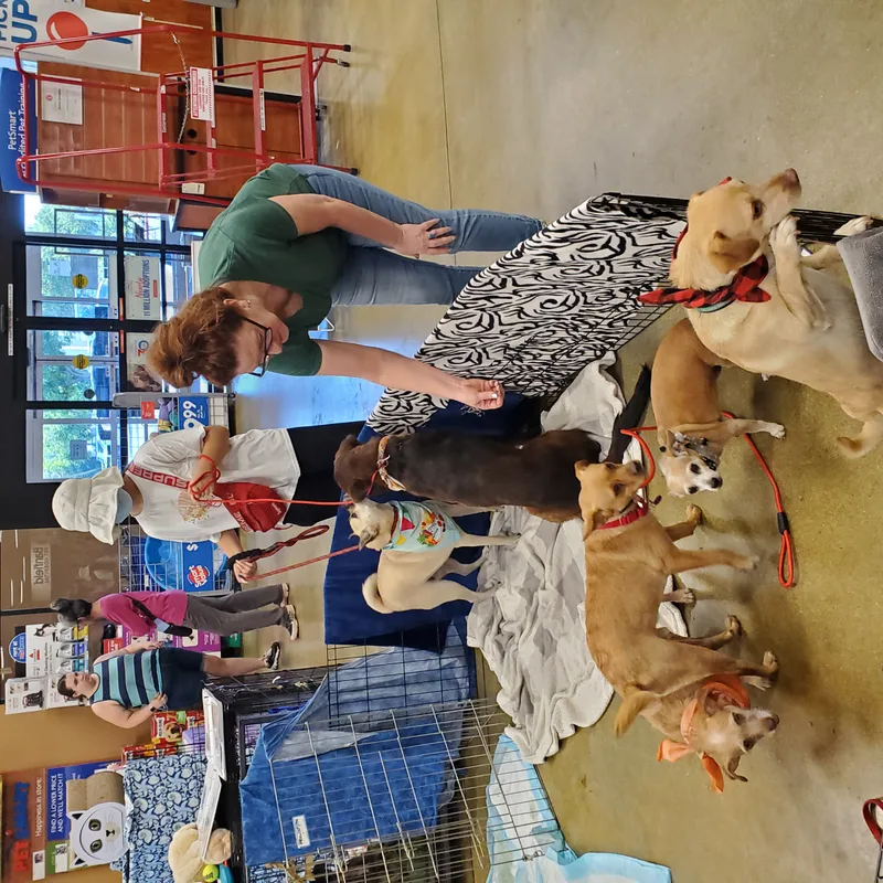 Nuts Over Peanut thumbnail 4