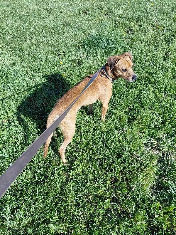 Rusty