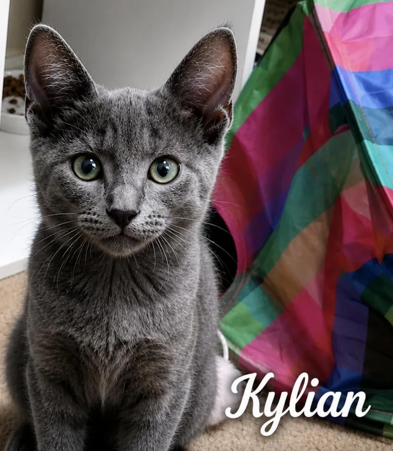Kylian and Lionel thumbnail 4