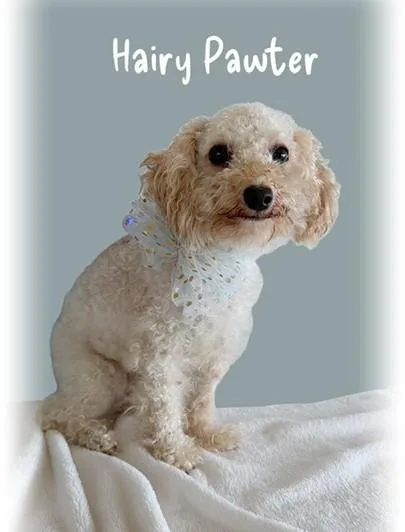 Hairy Pawter