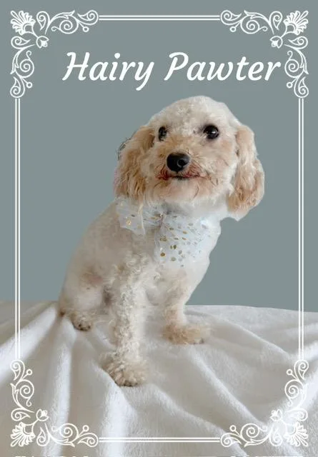 Hairy Pawter thumbnail 5