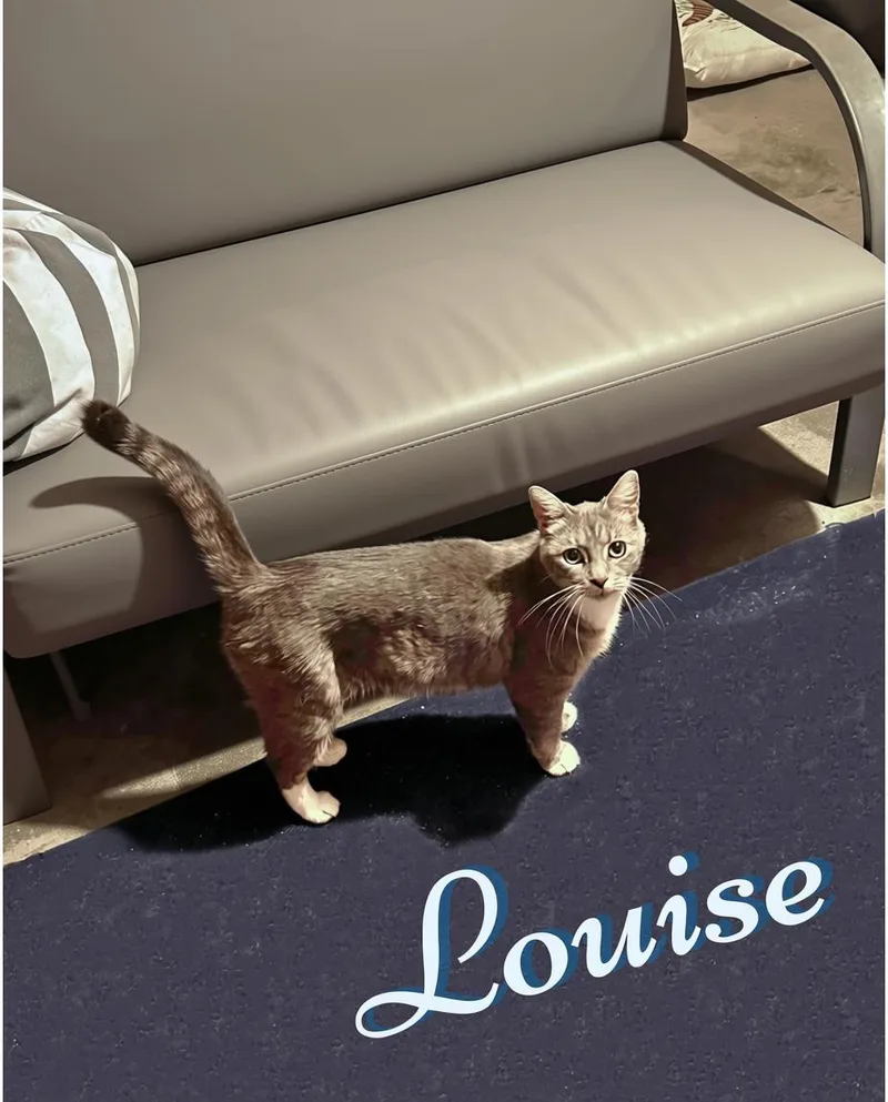 Louise