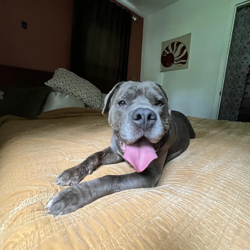 Wrinkles thumbnail 4