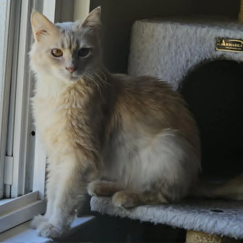 Lucy thumbnail 4